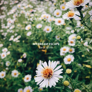 中国熟妇搡BBBB搡BBBB1
