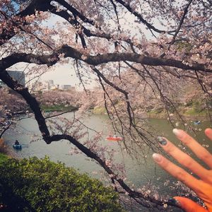 中国熟妇搡BBBB搡BBBB1
