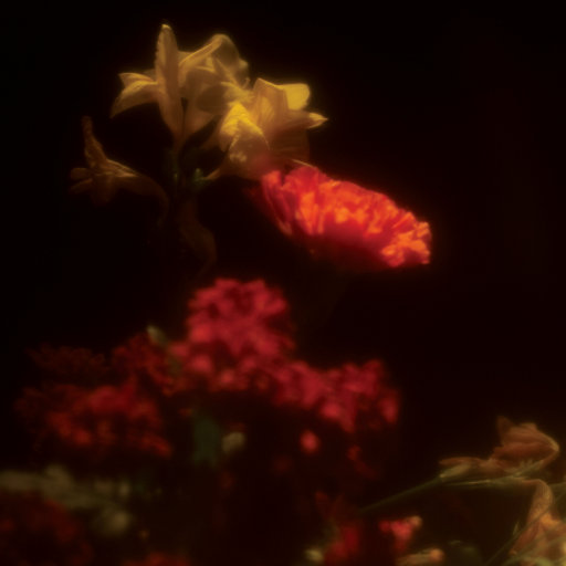 中国熟妇搡BBBB搡BBBB1
